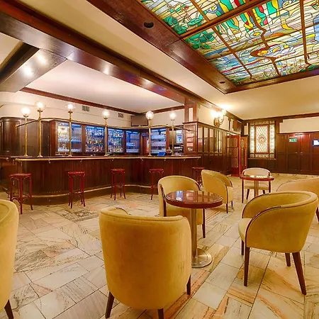 Focus Premium Pod Orlem 비드고슈치