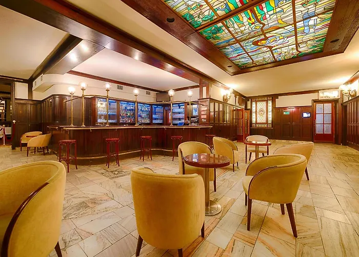 Focus Premium Pod Orlem Bydgoszcz